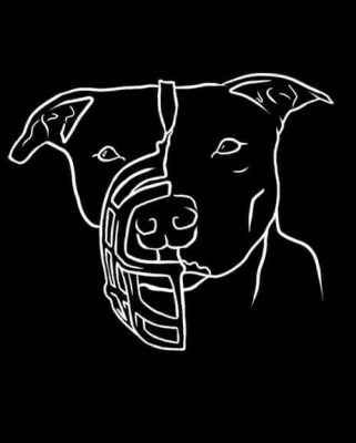 Pineapples Paradise Rescue - Animal Shelter and Rescue in Walker, Michigan