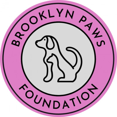 Brooklyn Paws Foundation - Animal Shelter and Rescue