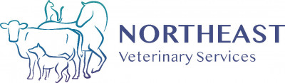 Northeast Veterinary Services - Animal Shelter and Rescue in Tisdale, Saskatchewan