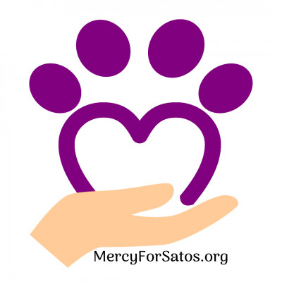 Mercy For Satos, Inc. - Animal Shelter and Rescue in Barranquitas, Barranquitas
