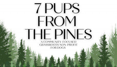 7 Pups From The Pines TX - Animal Shelter and Rescue in Scroggins, Texas