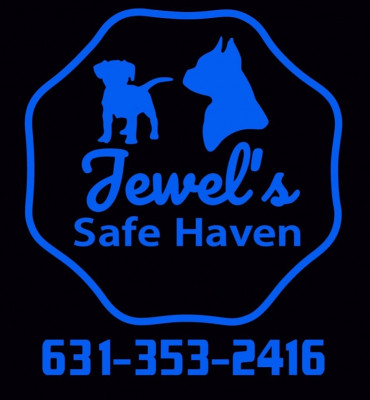 Jewels Safe Haven Rescue Inc - Animal Shelter and Rescue in Hampton Bays, New York