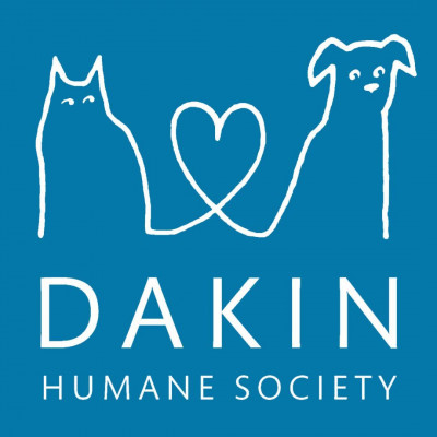 Dakin Humane Society - Animal Shelter and Rescue in Springfield, Massachusetts