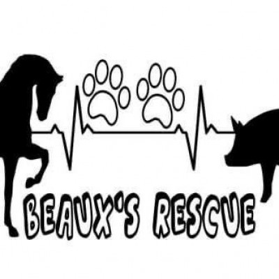 Beaux’s Rescue Inc - Animal Shelter and Rescue in Leesville, Louisiana