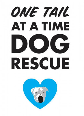 One Tail At A Time - Pet Shelter and Rescue in Chicago, Illinois