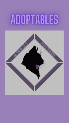 4 Walls Fosters - Animal Shelter and Rescue