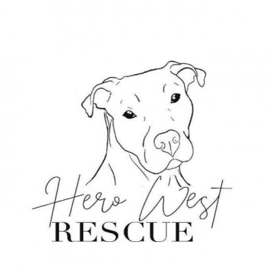 Hero West - Animal Shelter and Rescue in Jackson, Tennessee