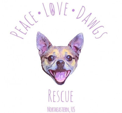 Peace Love Dawgs Rescue - Animal Shelter and Rescue in Middletown Springs, Vermont