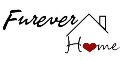 Furever Home Rescue - Animal Shelter and Rescue in Orwigsburg, Pennsylvania