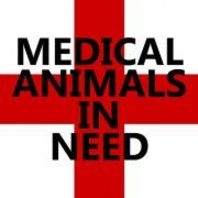 Medical Animals In Need (M.A.I.N.) - Pet Shelter and Rescue in El Mirage, Arizona