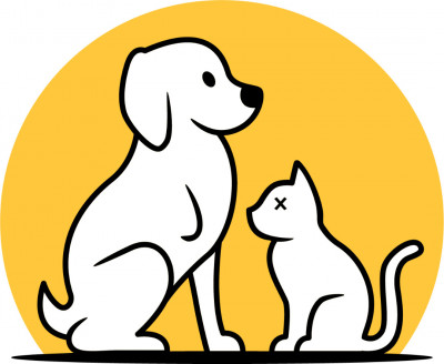 SEN Foundation Animal Rescue - Animal Shelter and Rescue in San Francisco, California