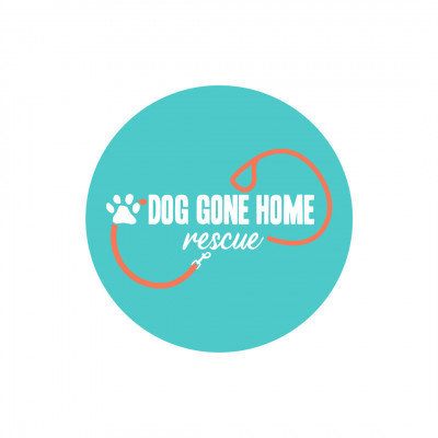 Dog Gone Home - Animal Shelter and Rescue in New Port Richey, Florida