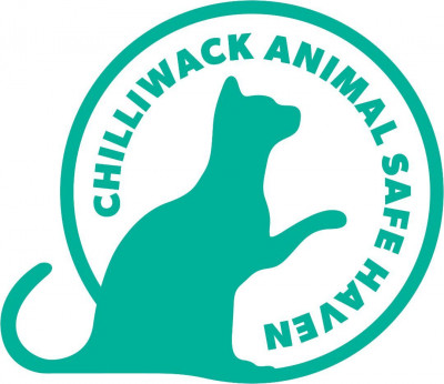 Chilliwack Animal Safe Haven - Animal Shelter and Rescue in Chilliwack, British Columbia