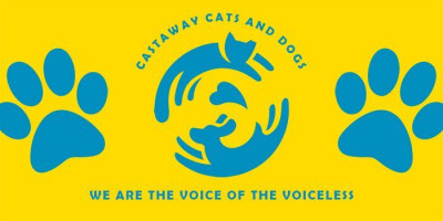 Castaway Cats And Dogs Inc. - Animal Shelter and Rescue in Panama City, Florida