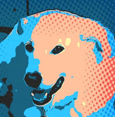 Beasts Of Cuan - Animal Shelter and Rescue in Shoreline, Washington