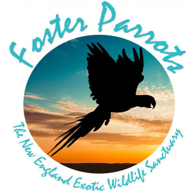 Foster Parrots, LTD - Animal Shelter and Rescue in Hopkinton, Rhode Island