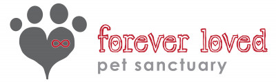 Forever Loved Pet Sanctuary - Pet Shelter and Rescue in Scottsdale, Arizona