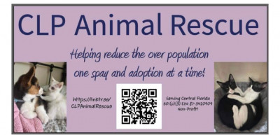 CLP Animal Rescue, Inc. - Animal Shelter and Rescue in Deltona, Florida