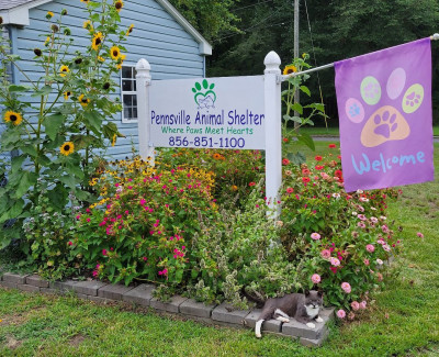 Pennsville Animal Shelter - Animal Shelter and Rescue in Pennsville Township, New Jersey