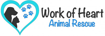 Work Of Heart Animal Rescue - Animal Shelter and Rescue in Lincoln Park, Michigan
