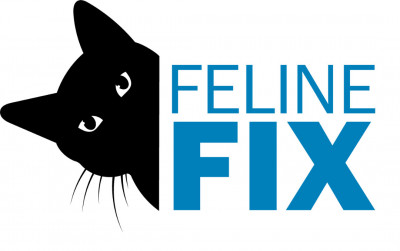 Feline Fix - Animal Shelter and Rescue in Pleasant Hill, Missouri