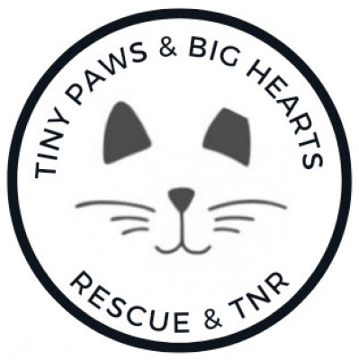 Tiny Paws & Big Hearts - Animal Shelter and Rescue in Spotsylvania Courthouse, Virginia