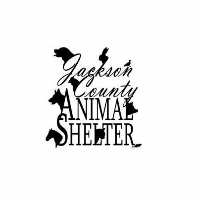Jackson County Animal Shelter - Animal Shelter and Rescue in Black River Falls, Wisconsin