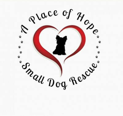 A Place Of Hope Small Dog Rescue Inc - Animal Shelter and Rescue in Pensacola, Florida