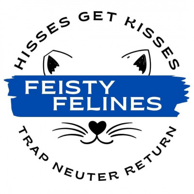 Feisty Felines - Animal Shelter and Rescue in Rochester, Washington
