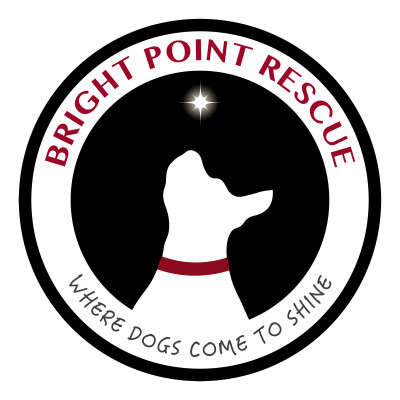 Bright Point Rescue - Pet Shelter and Rescue in Southgate, Michigan