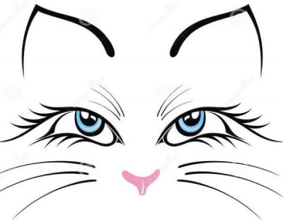 Wise Cat Rescue - Animal Shelter and Rescue in San Antonio, Texas