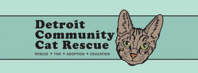 Detroit Community Cat Rescue - Animal Shelter and Rescue in Ferndale, Michigan