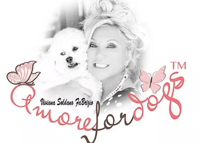 Amore For Dogs - Animal Shelter and Rescue in Newport Beach, California