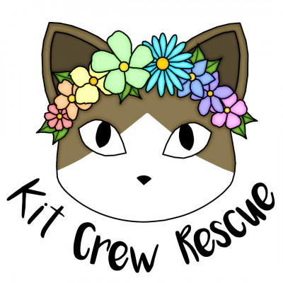 Kit Crew Rescue - Animal Shelter and Rescue in Hollywood, Florida