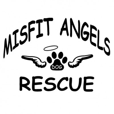 Misfit Angels Dog Rescue - Pet Shelter and Rescue in Eastpointe, Michigan