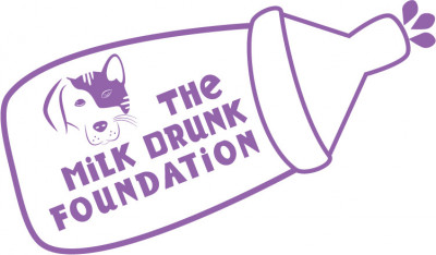 The Milk Drunk Foundation - Animal Shelter and Rescue in Sunrise, Florida