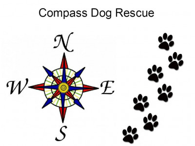 Compass Dog Rescue - Pet Shelter and Rescue in Royal Oak, Michigan