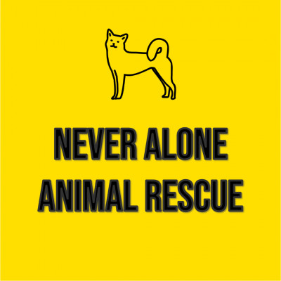 Never Alone Animal Rescue International Inc - Animal Shelter and Rescue in Danvers, Massachusetts