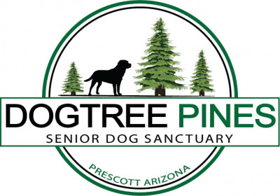 DOGTREE PINES SENIOR DOG SANCTUARY & RESCUE - Animal Shelter and Rescue in Prescott, Arizona