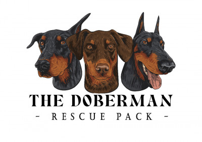 The Doberman Rescue Pack - Animal Shelter and Rescue in Shoreline, Washington