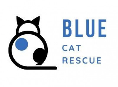 Blue Cat Rescue - Animal Shelter and Rescue in Herrin, Illinois