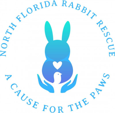 North Florida Rabbit Rescue - Animal Shelter and Rescue in Jacksonville, Florida