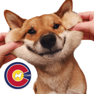 Colorado Shiba Inu Rescue - Animal Shelter and Rescue in Aurora, Colorado
