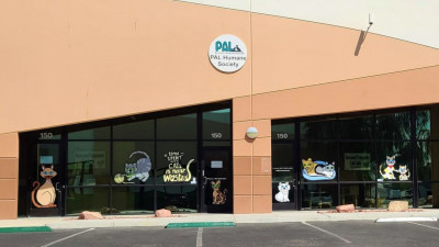 Rescued Treasures Cat Cafe By PALnv - Animal Shelter and Rescue in Las Vegas, Nevada