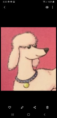 Poodle Rescue Of Michigan - Pet Shelter and Rescue in Novi, Michigan