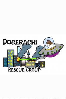 Dogerachi Rescue Group - Animal Shelter and Rescue in Lancaster, California
