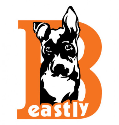 Beastly Rescue, Inc. - Pet Shelter and Rescue in New York, New York