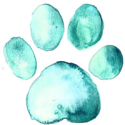 Toebean Lovers Cat Rescue - Animal Shelter and Rescue in Hammond, Louisiana