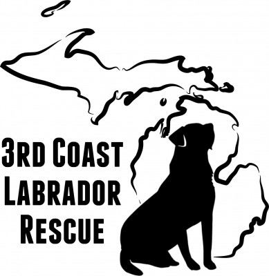 3rd Coast Labrador Rescue - Pet Shelter and Rescue