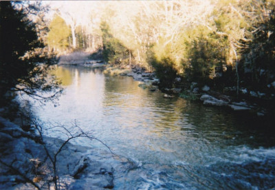 Dove Road Sanctuary And Safe Haven - Animal Shelter and Rescue in Rockvale, Tennessee